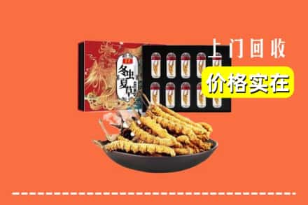 滁州来安县回收冬虫夏草